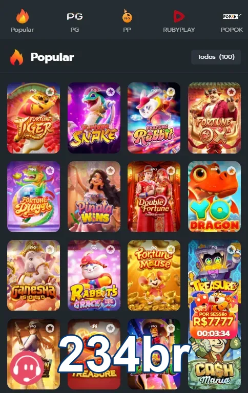 Suporte Dedicado em Português para Você - 234br